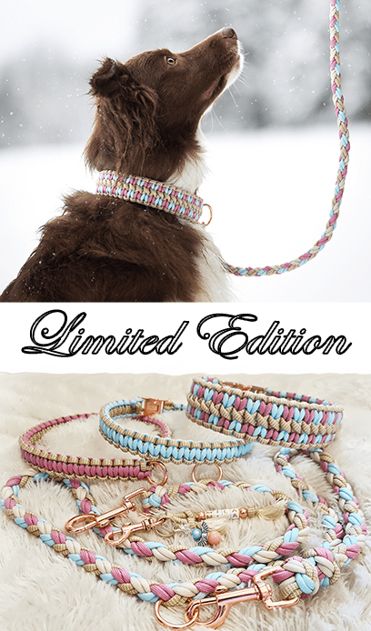 geeignet für kleinere Hunde Namensanhänger oder weiteren Extras wahlweise mit Gravur Paracord Halsband Floating Colors Smal 